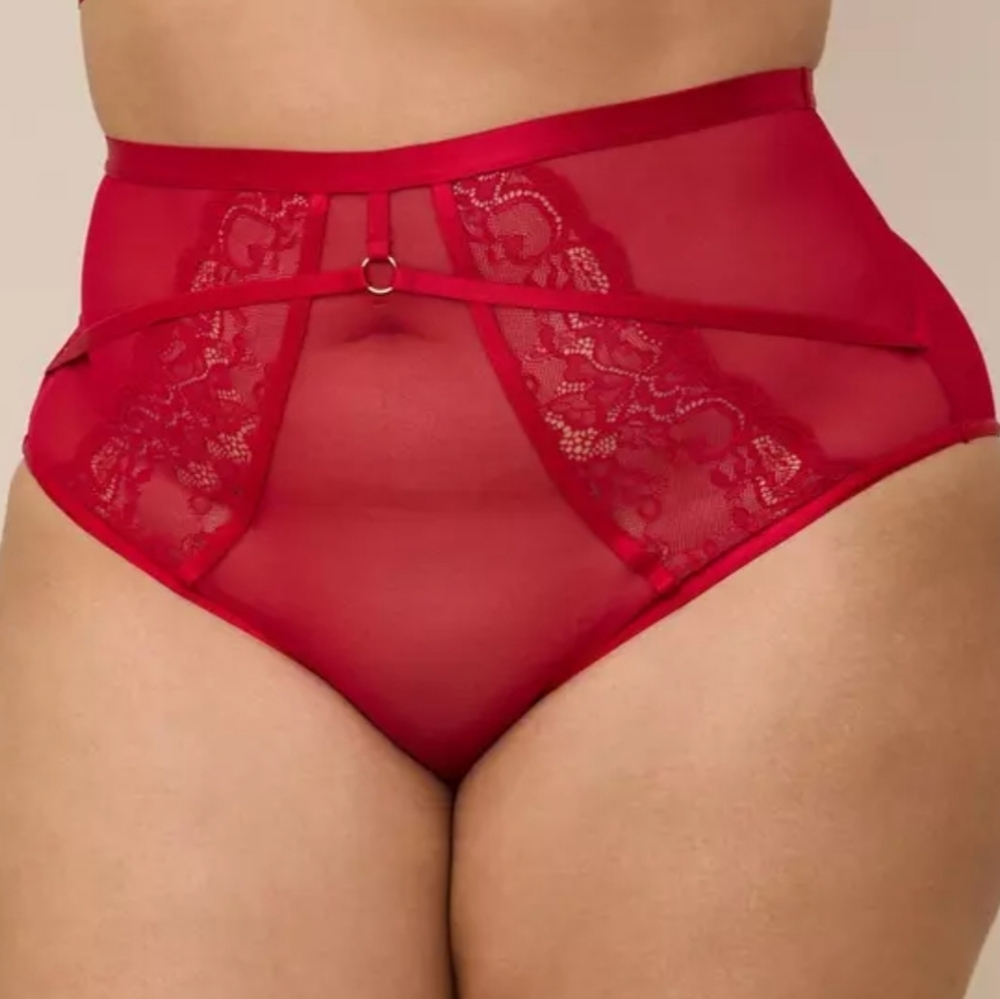 torrid High-Waist Lace & Mesh Panty - Red